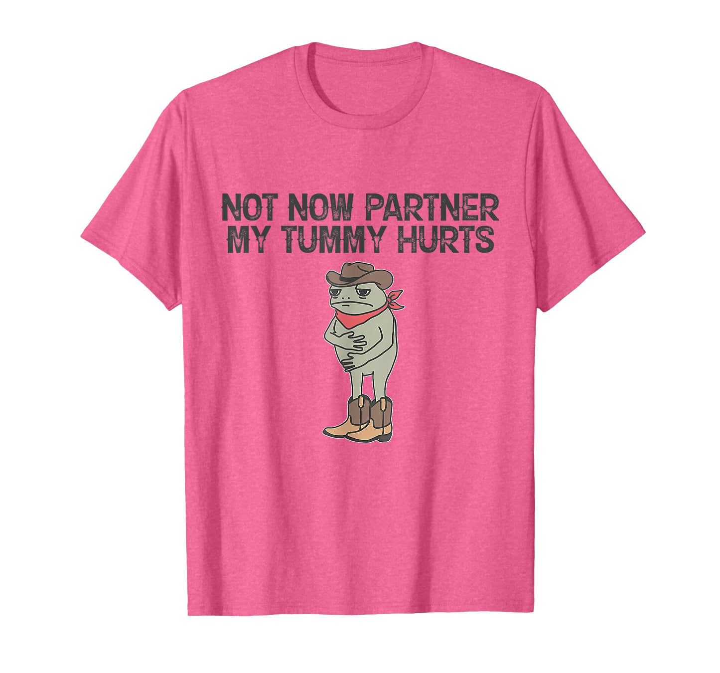 Not Now Partner My Tummy Hurts Funny Quote T-Shirt