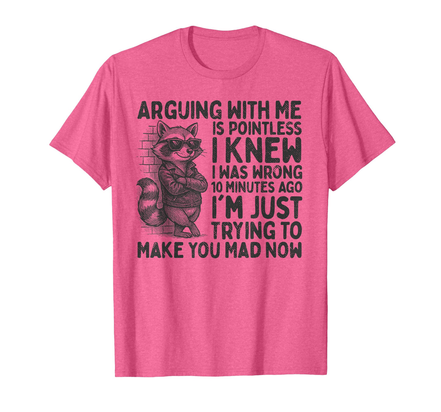 Arguing With Me Is Pointless Raccoon Funny Sarcastic Meme T-Shirt