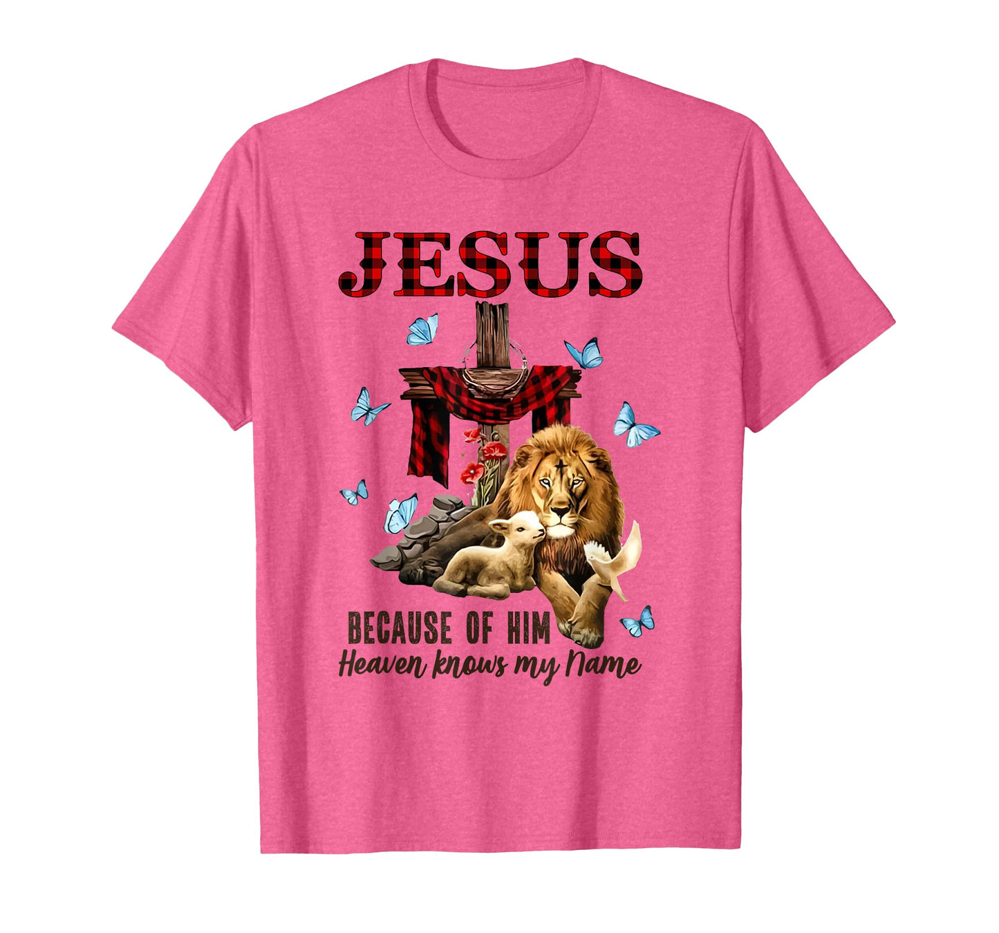 FAITH Jesus Lion Lamb Heaven Know My Name T-Shirt
