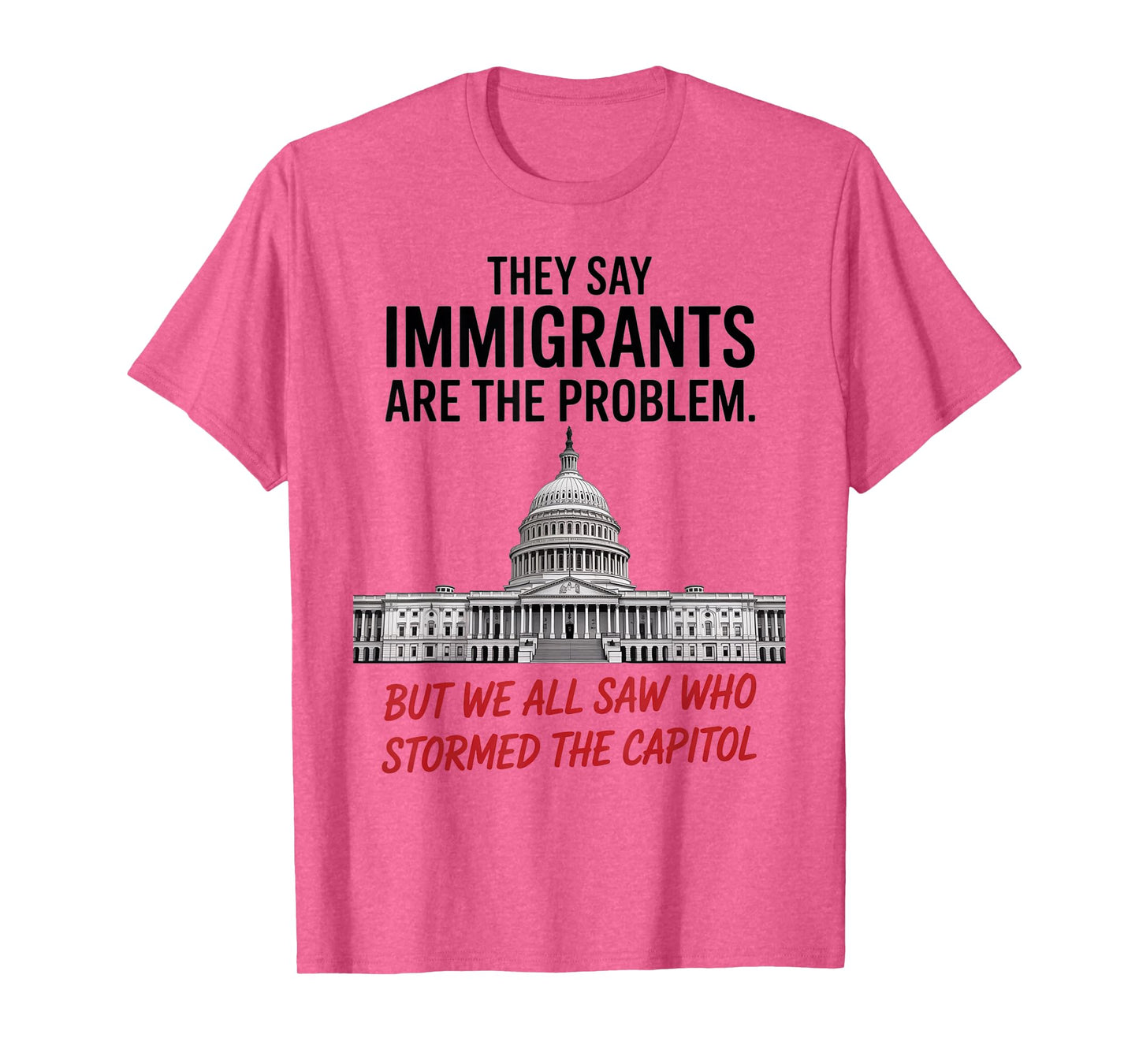 They Say Immigrants Are The Problem But We All Saw Stormed T-Shirt