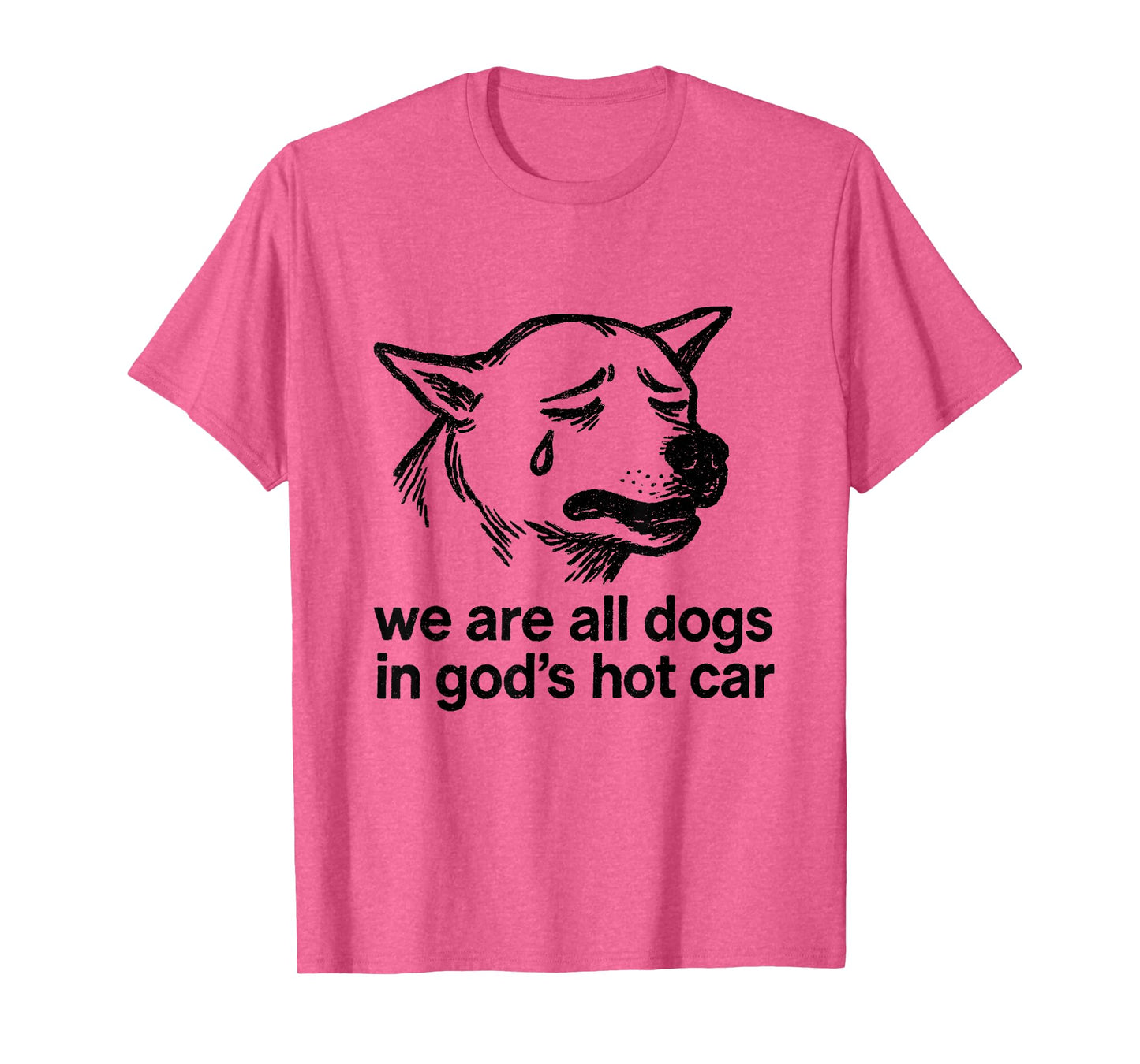 We are All Dogs in God's Hot Car Funny Dog Meme T-Shirt