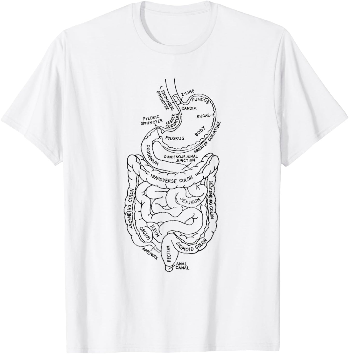 GI Tract Digestive Tract Anatomy GI Tract Anatomy Gastroent T-Shirt - T-Shirt | White