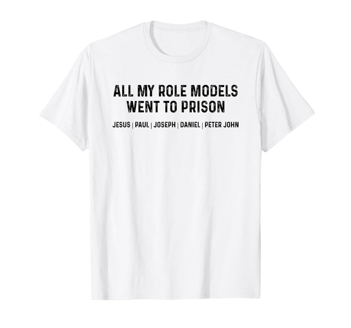 All My Role Models Went To Prison T-Shirt