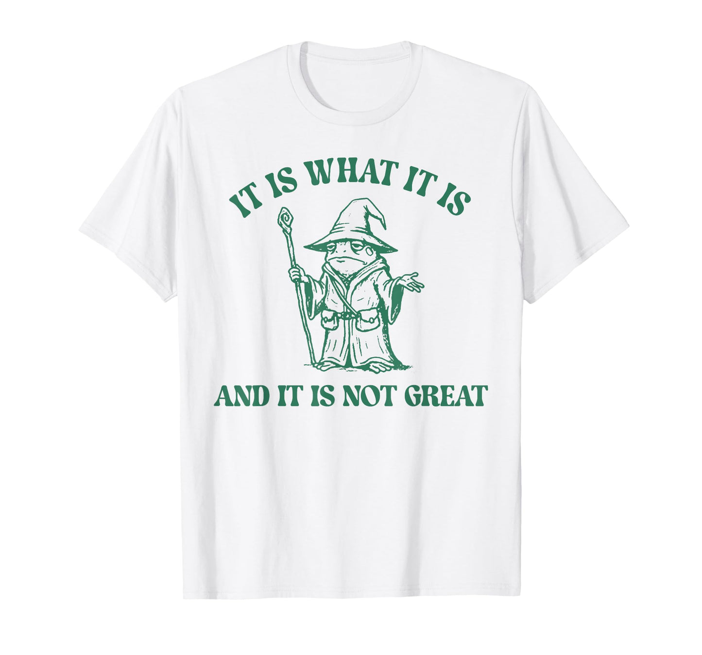 Frog Witch It Is What It Is And It Is Not Great T-Shirt