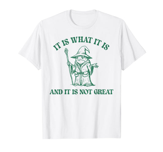 Frog Witch It Is What It Is And It Is Not Great T-Shirt