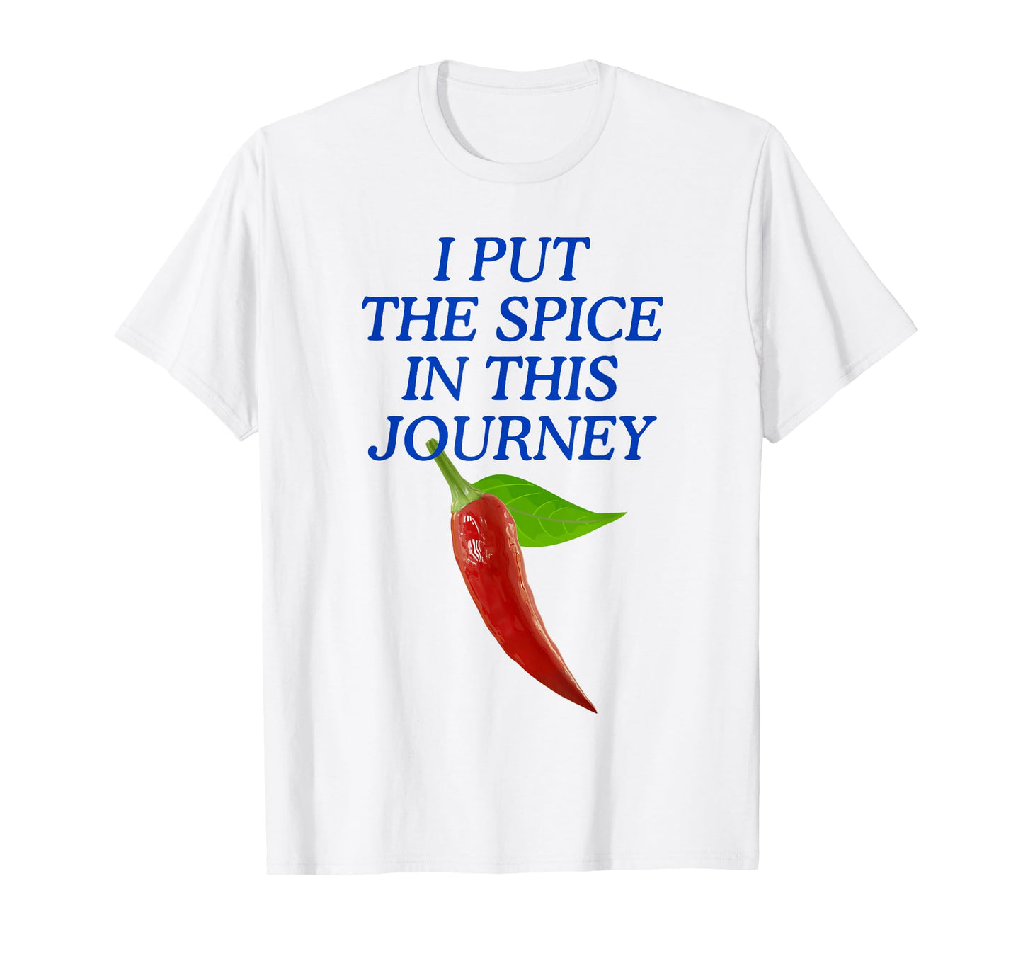 I Put The Spice in This Journey T-Shirt