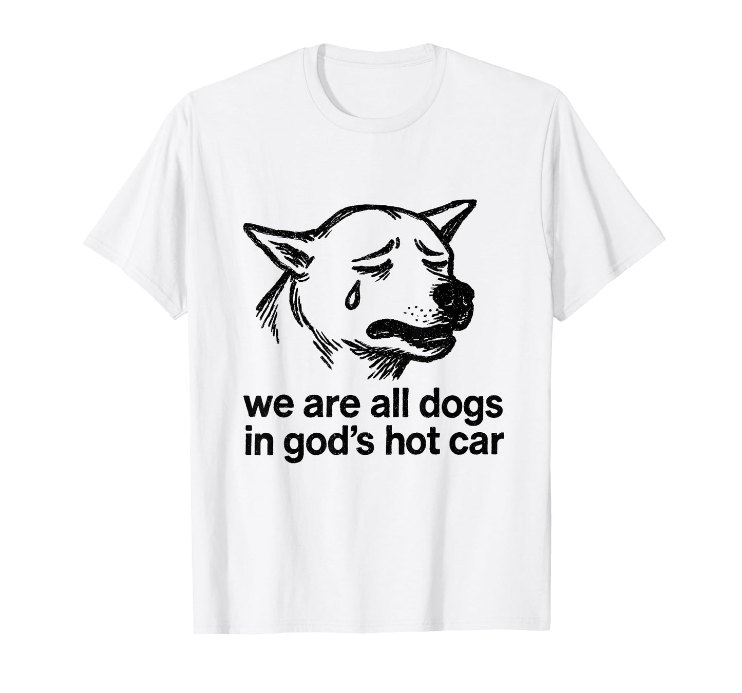 We are All Dogs in God's Hot Car Funny Dog Meme T-Shirt