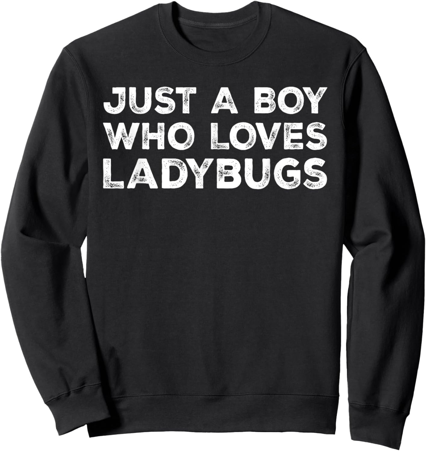 Just A Boy Who Loves Ladybugs, Cute Ladybug Lovers Sweatshirt - Sweatshirt | Black