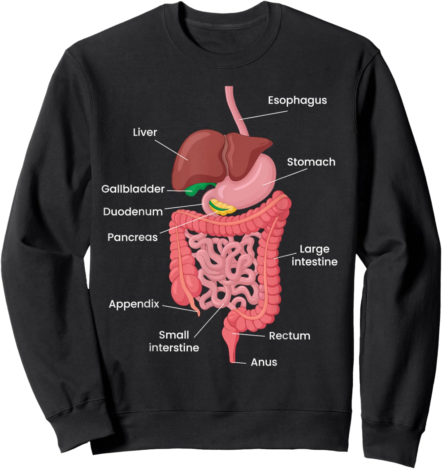 Biological Apparel -Adults Anatomy Digestive System Black Small Classic Short Sleeve Sweatshirt - Sweatshirt | Black