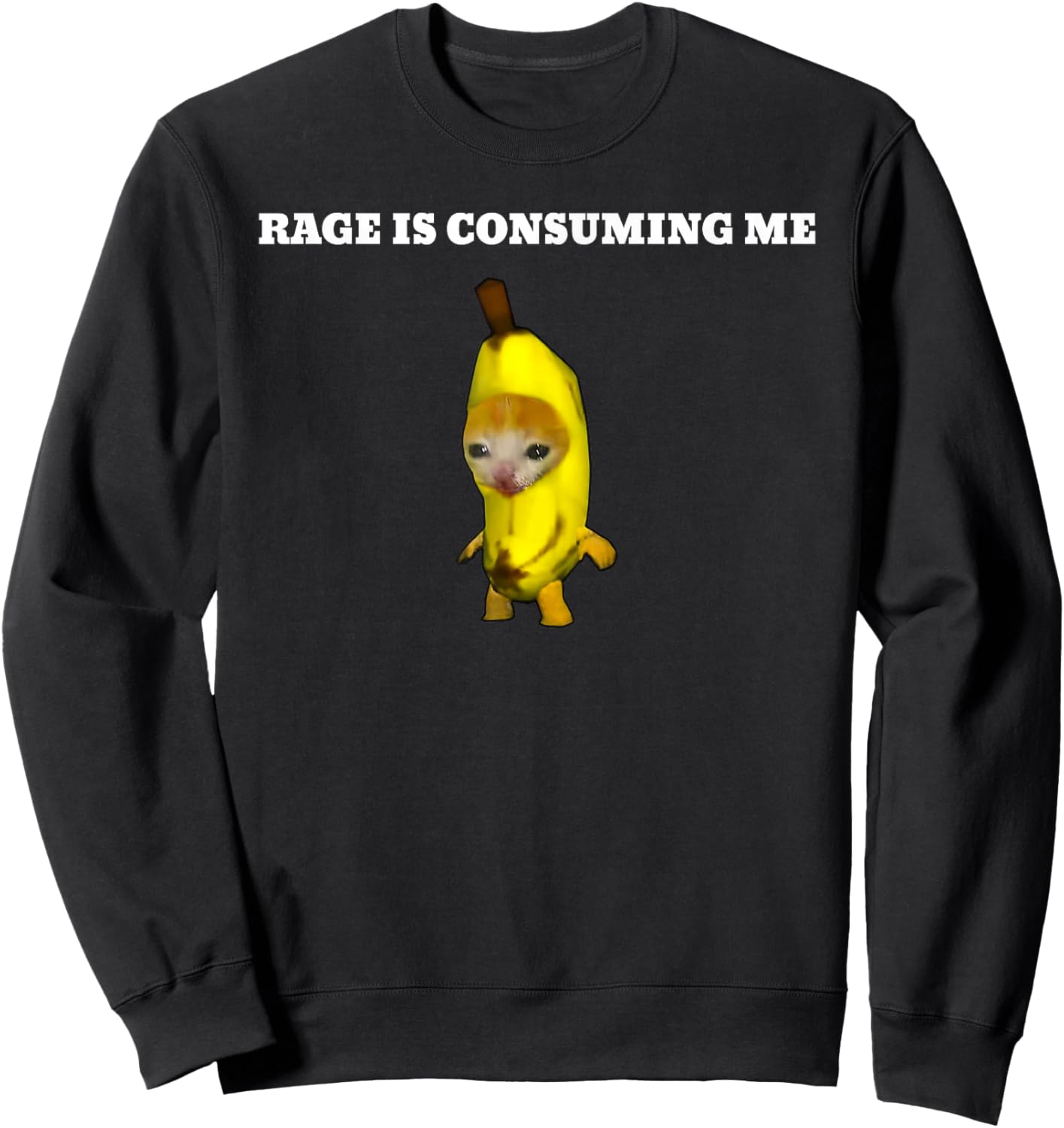Rage Is Consuming Me Cat Meme Sweatshirt - Sweatshirt | Black