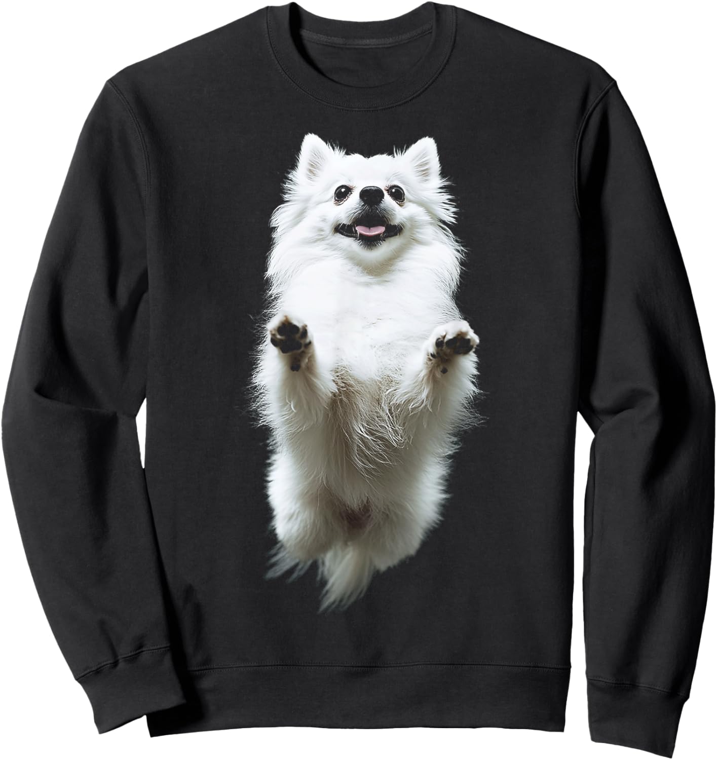 Pomeranian Dog Motif Pet Illustration Pomeranian Sweatshirt - Sweatshirt | Black