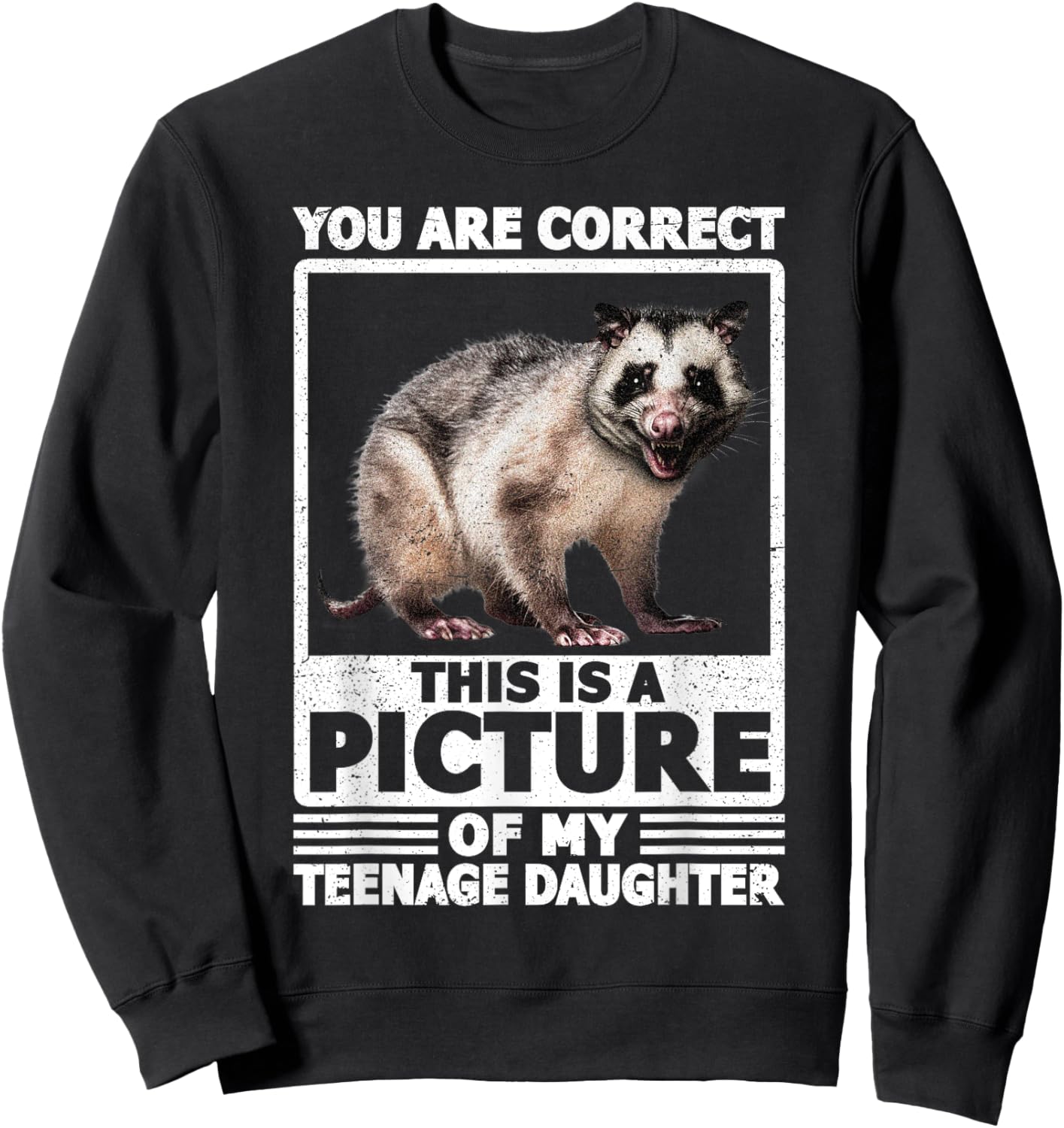 Funny Teenage Daughter Opossum Mom Possum Dad Sweatshirt - Sweatshirt | Black