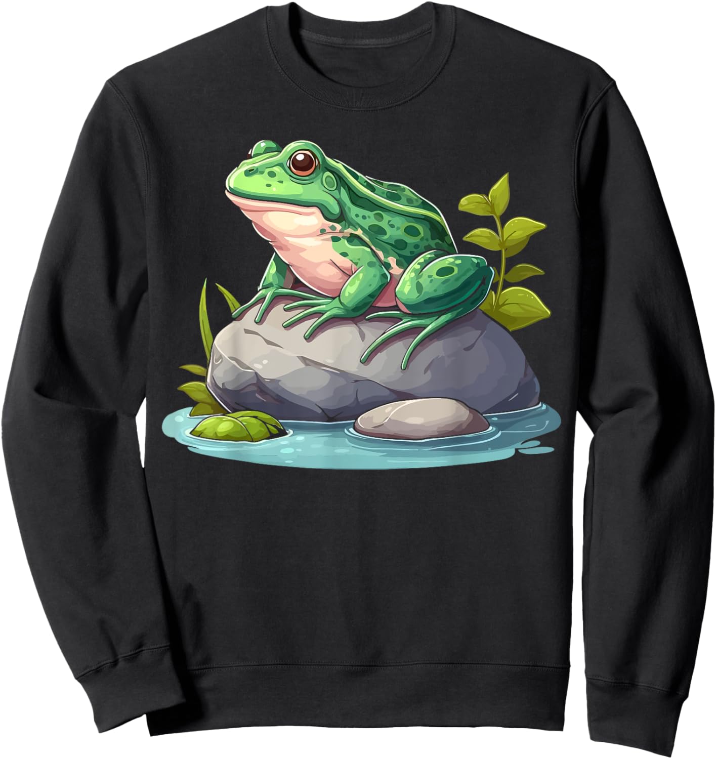 Frog Sitting On A Rock Funny Frog Lovers Sweatshirt - Sweatshirt | Black