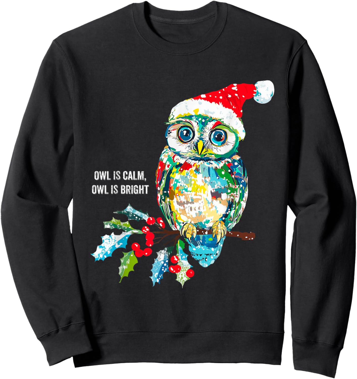 Funny Owl Wearing Santa Claus Hat Christmas Holiday Meme Sweatshirt - Sweatshirt | Black