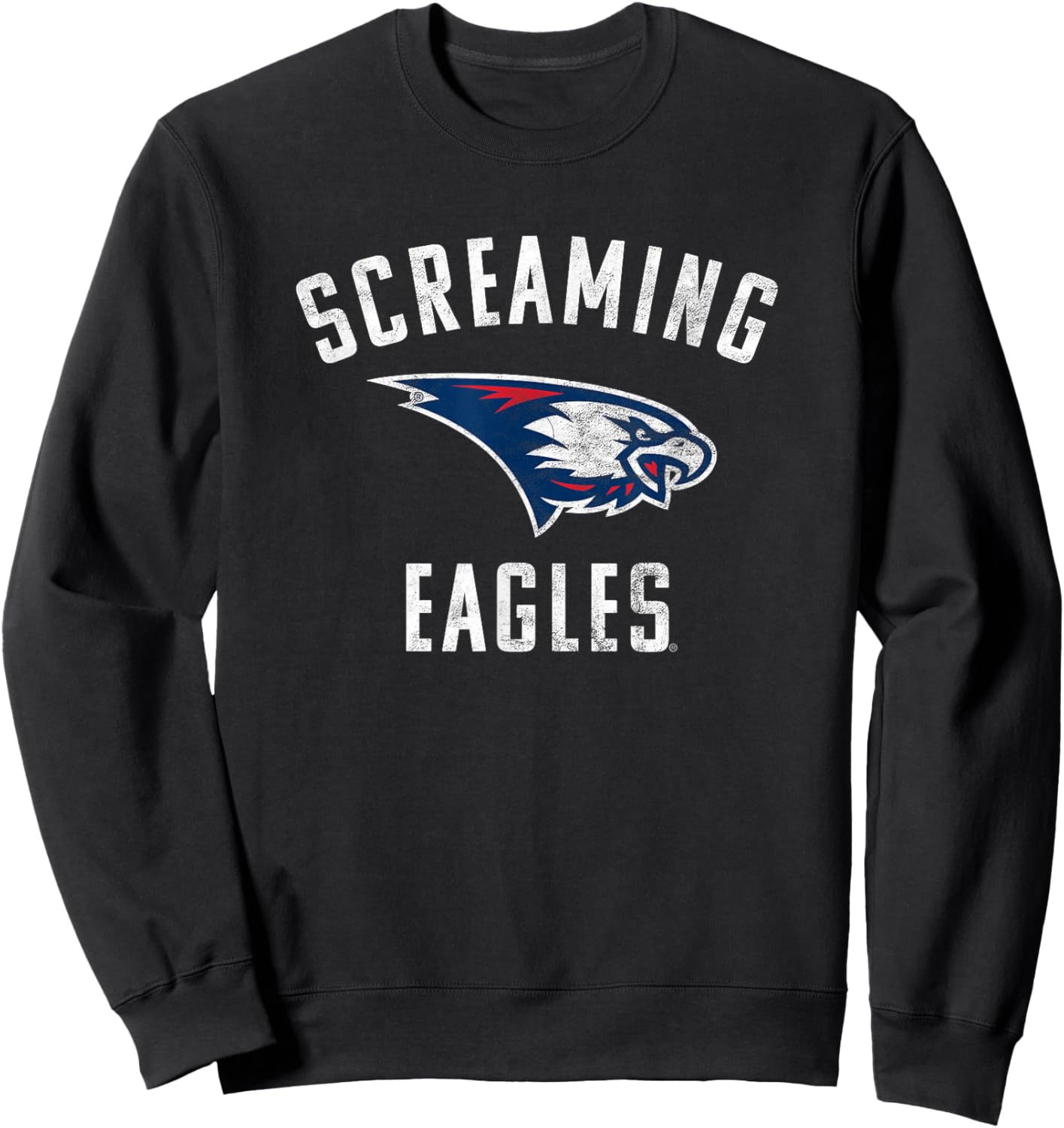 University of Southern Indiana USI Eagles Large Sweatshirt - Sweatshirt | Black