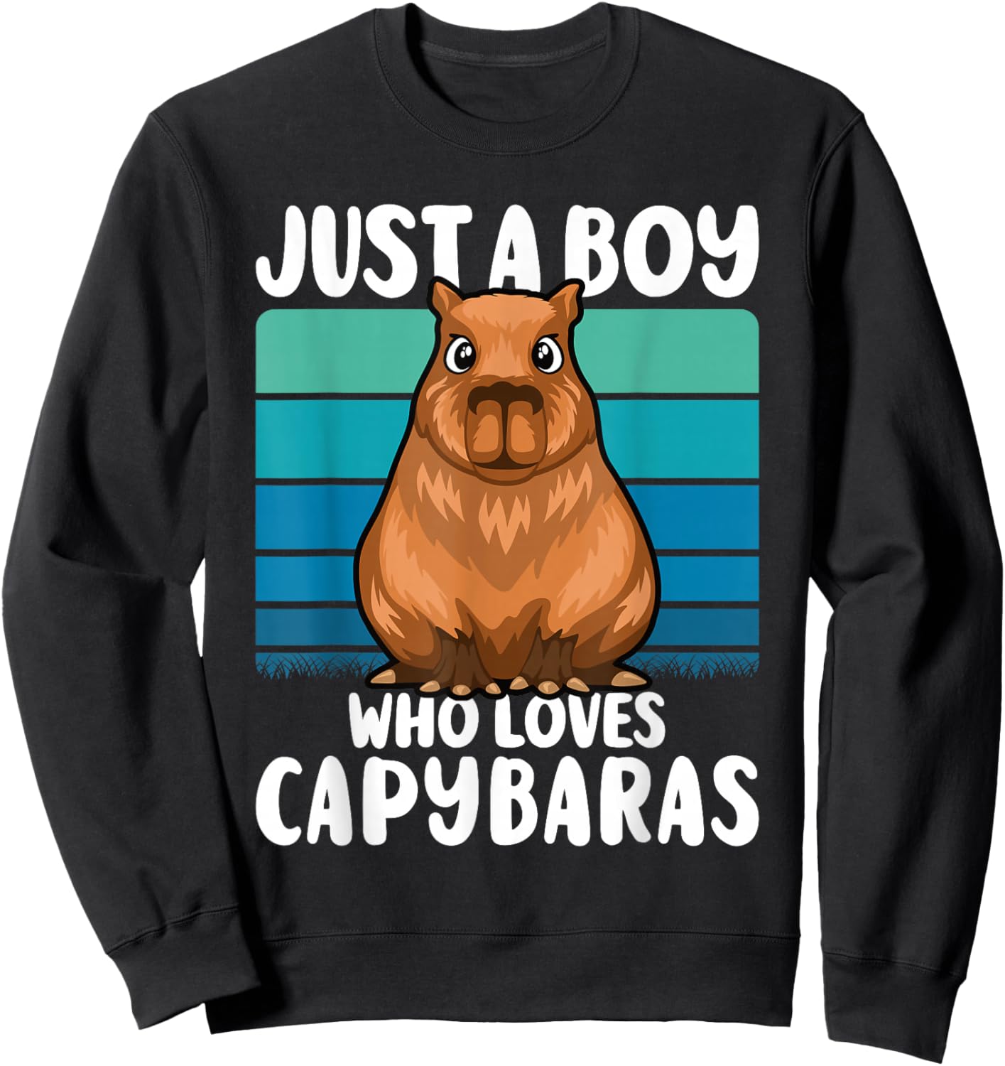 Just A Boy Who Loves Capybaras Funny Capybara Boys Kids Sweatshirt - Sweatshirt | Black