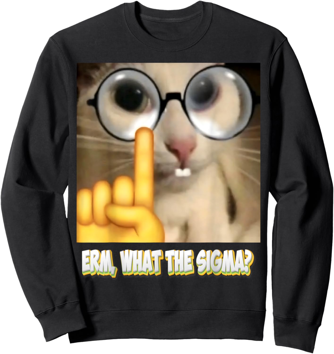 Cat Funny Erm, What the Sigma? Cat Meme Funny Women Sweatshirt - Sweatshirt | Black