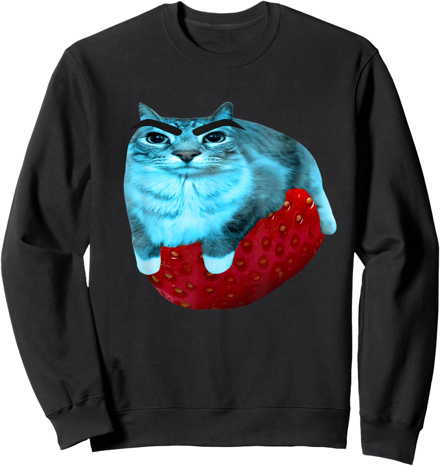 Strawberry Watermelon Cat Silly Cat Meme Sweatshirt - Sweatshirt | Black