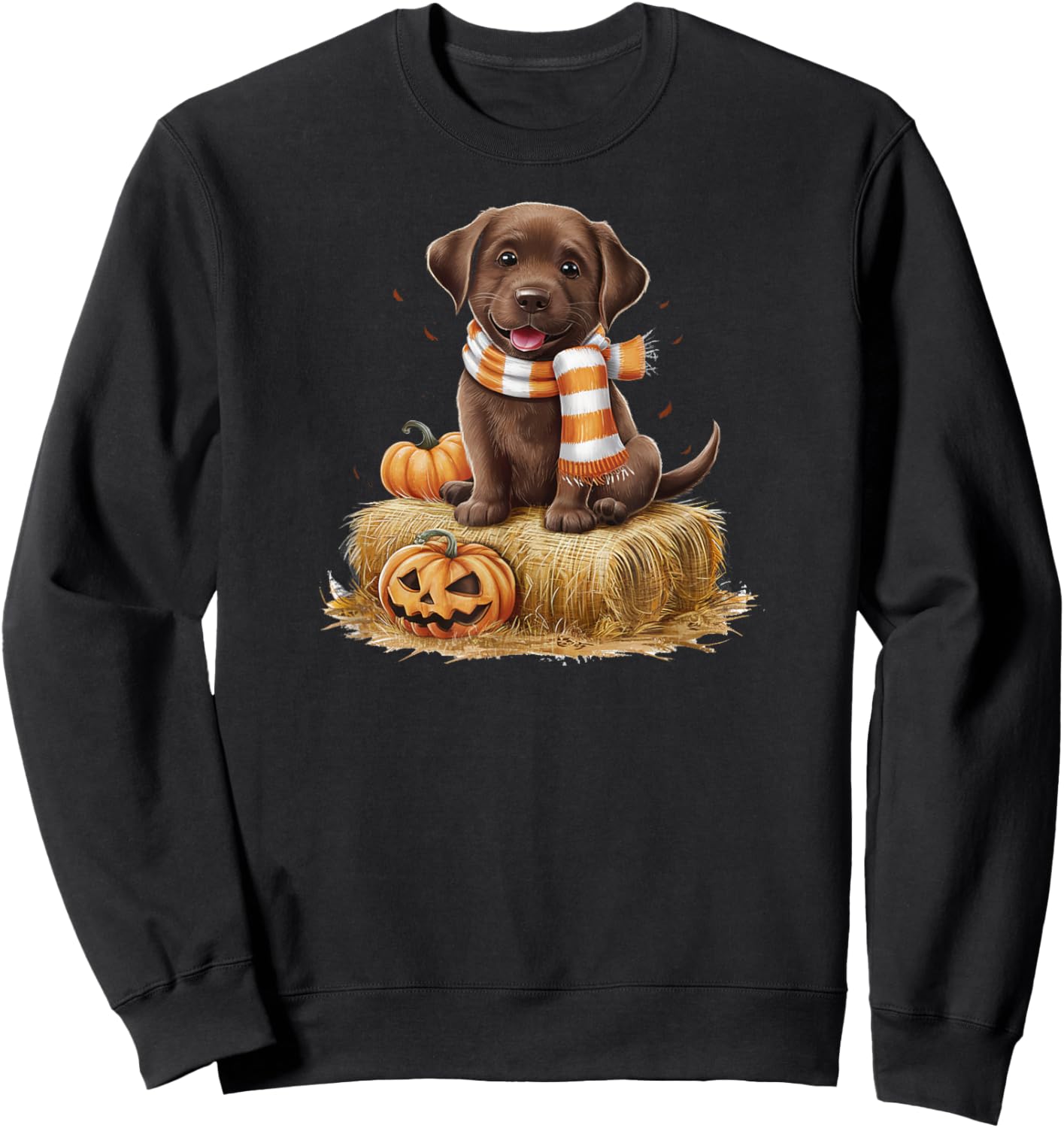 Pumpkin and a Chocolate Lab Sweatshirt - Sweatshirt | Black