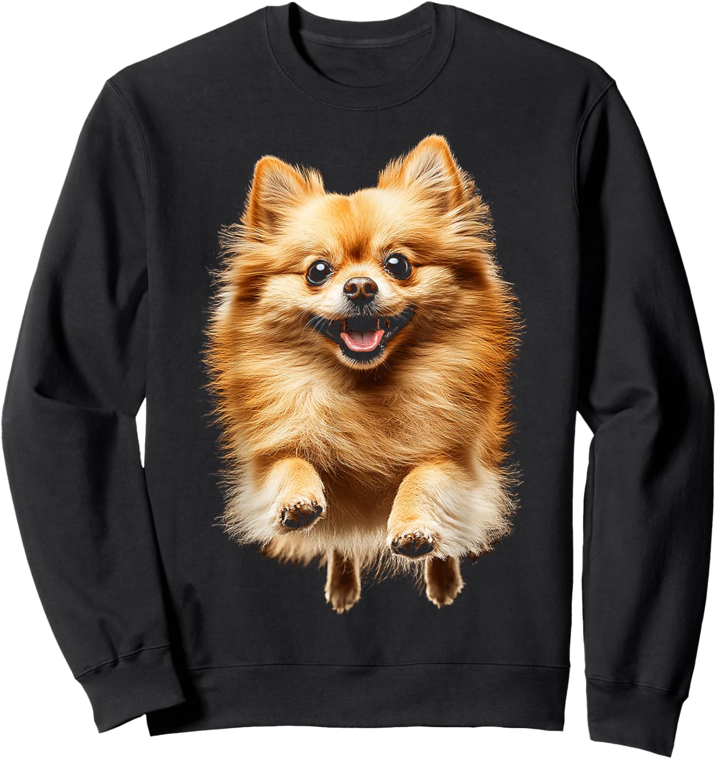 Pomeranian Dog Graphic Pet Artwork Pomeranian Men Women Kids Sweatshirt - Sweatshirt | Black