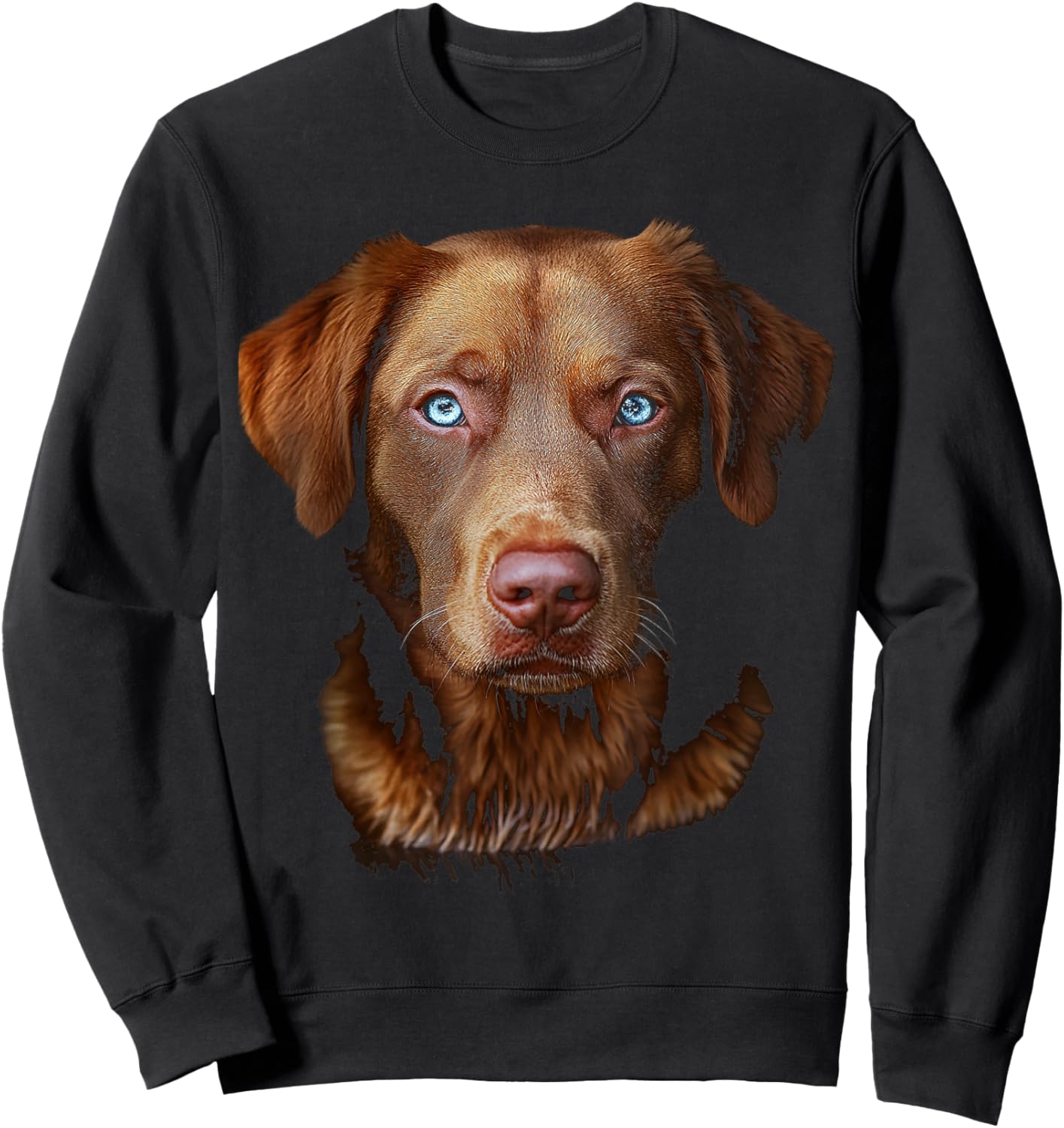 Chesapeake Bay Retriever Dog Motif Pet Art Blue Eyes Women Kids Sweatshirt - Sweatshirt | Black
