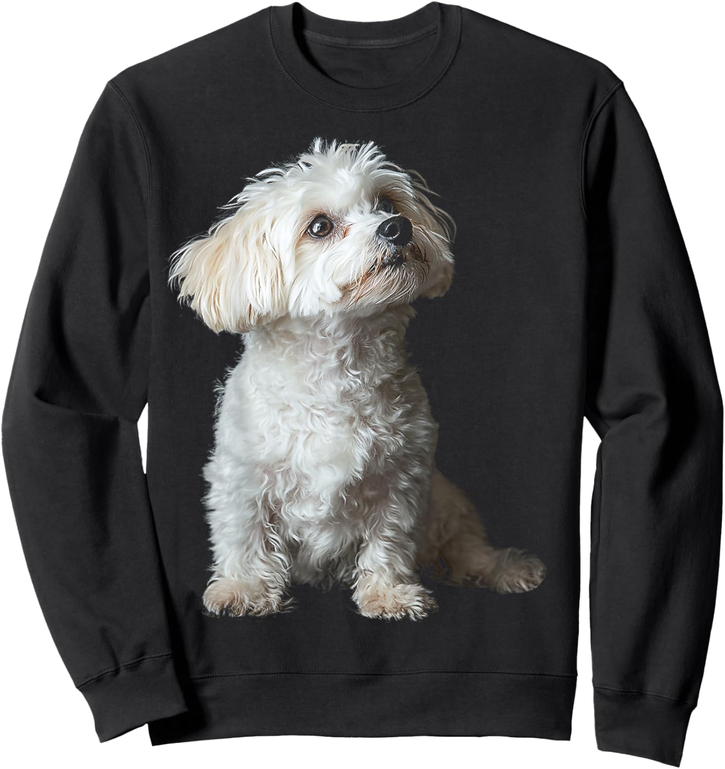 Maltipoo Dog Motif Pet Art Maltipoo Men Women Kids Sweatshirt - Sweatshirt | Black