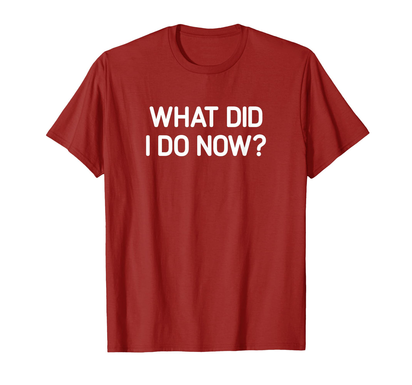 What Did I Do Now, Funny, Jokes, Sarcastic T-Shirt