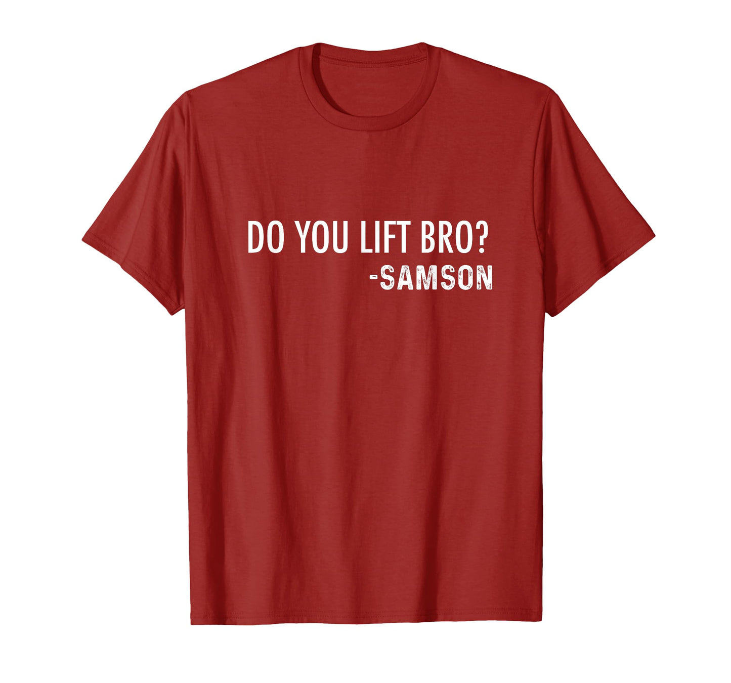 Do You Lift Bro? -Samson | Funny Christian Bible Joke T-Shirt