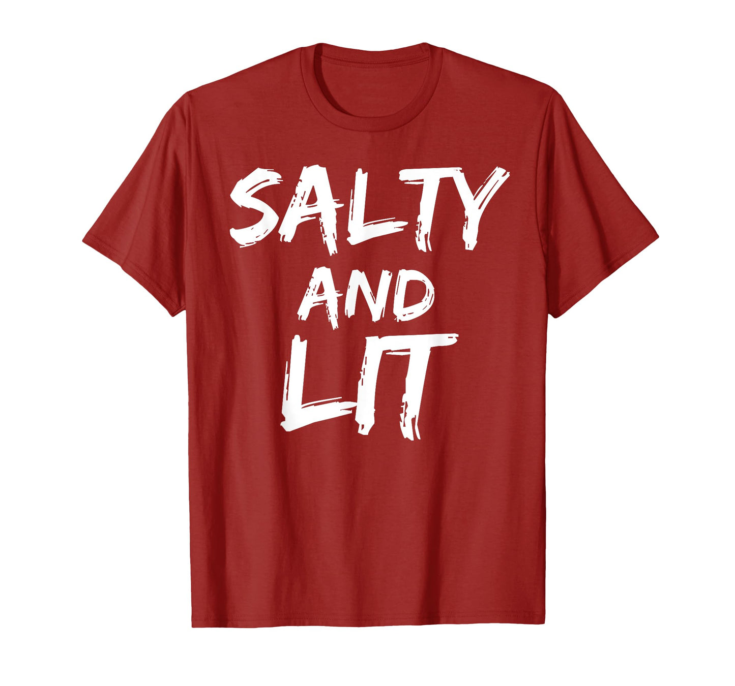 Salty and Lit Shirt for Men Funny Salt & Light Christian Tee T-Shirt