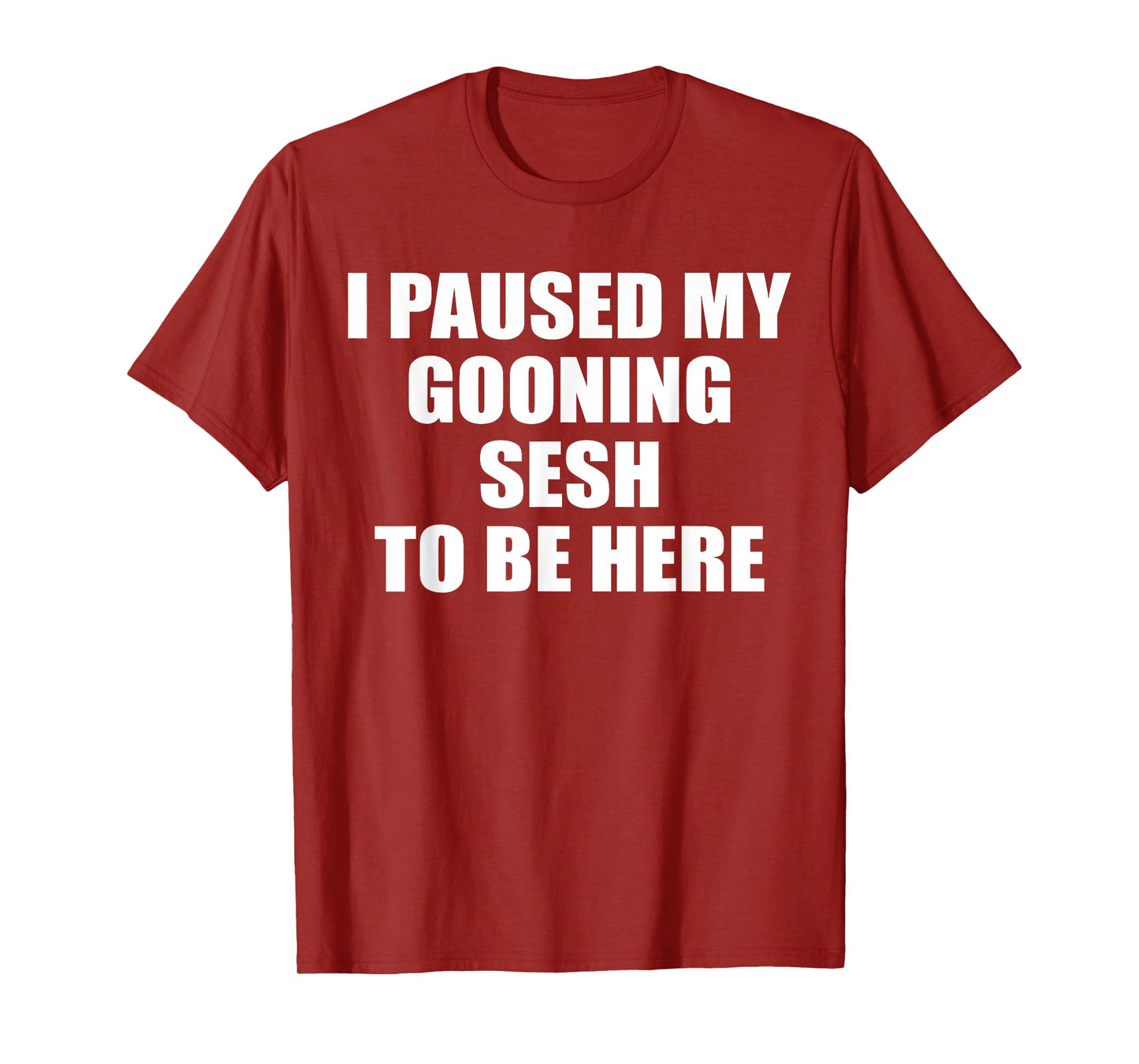 Funny Goon I Paused My Gooning Sesh To Be Here T-Shirt