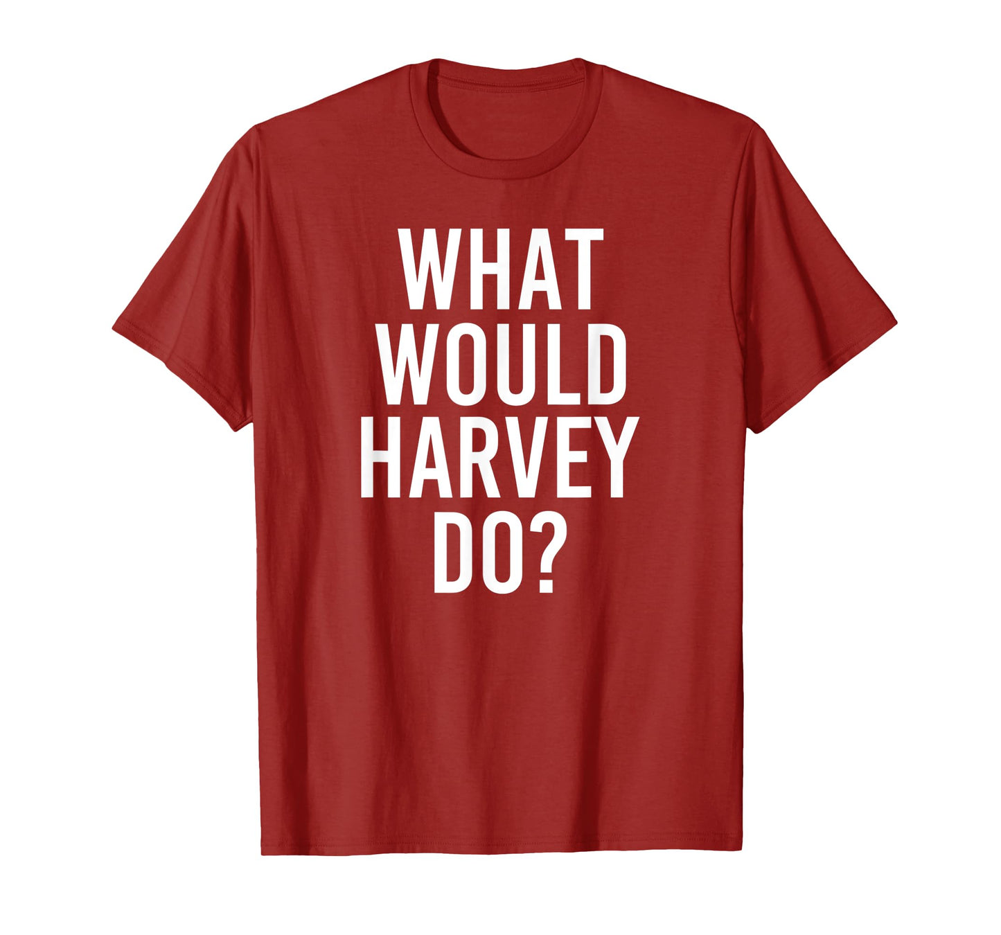 What Would HARVEY Do Funny Personalized Name Joke Men Gift T-Shirt
