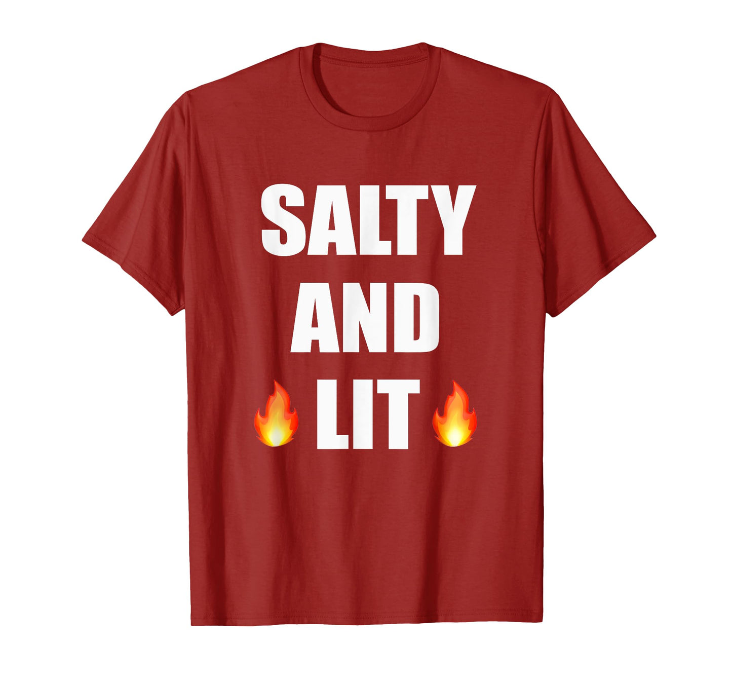 Salty And Lit T Shirt Christian Bold Faith Hope Joy Tee T-Shirt