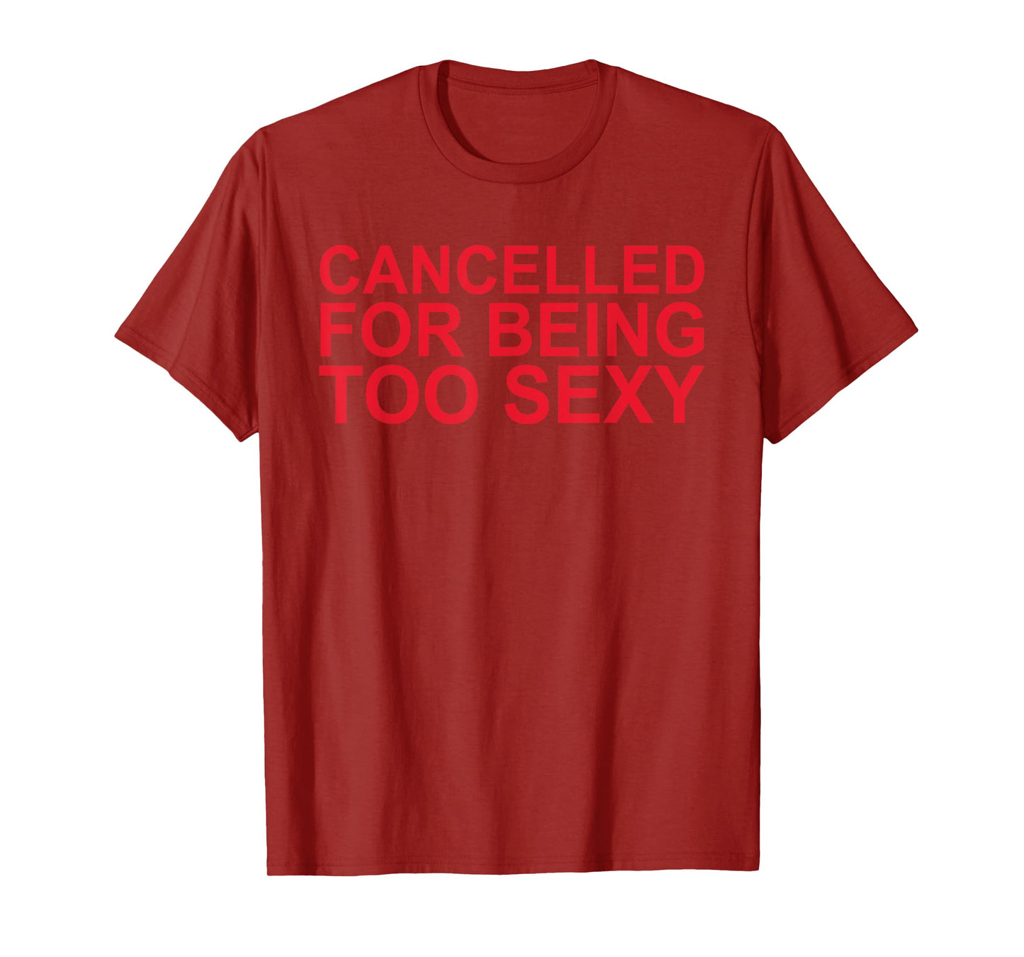 Cancelled For Being Too Sexy Funny T-Shirt