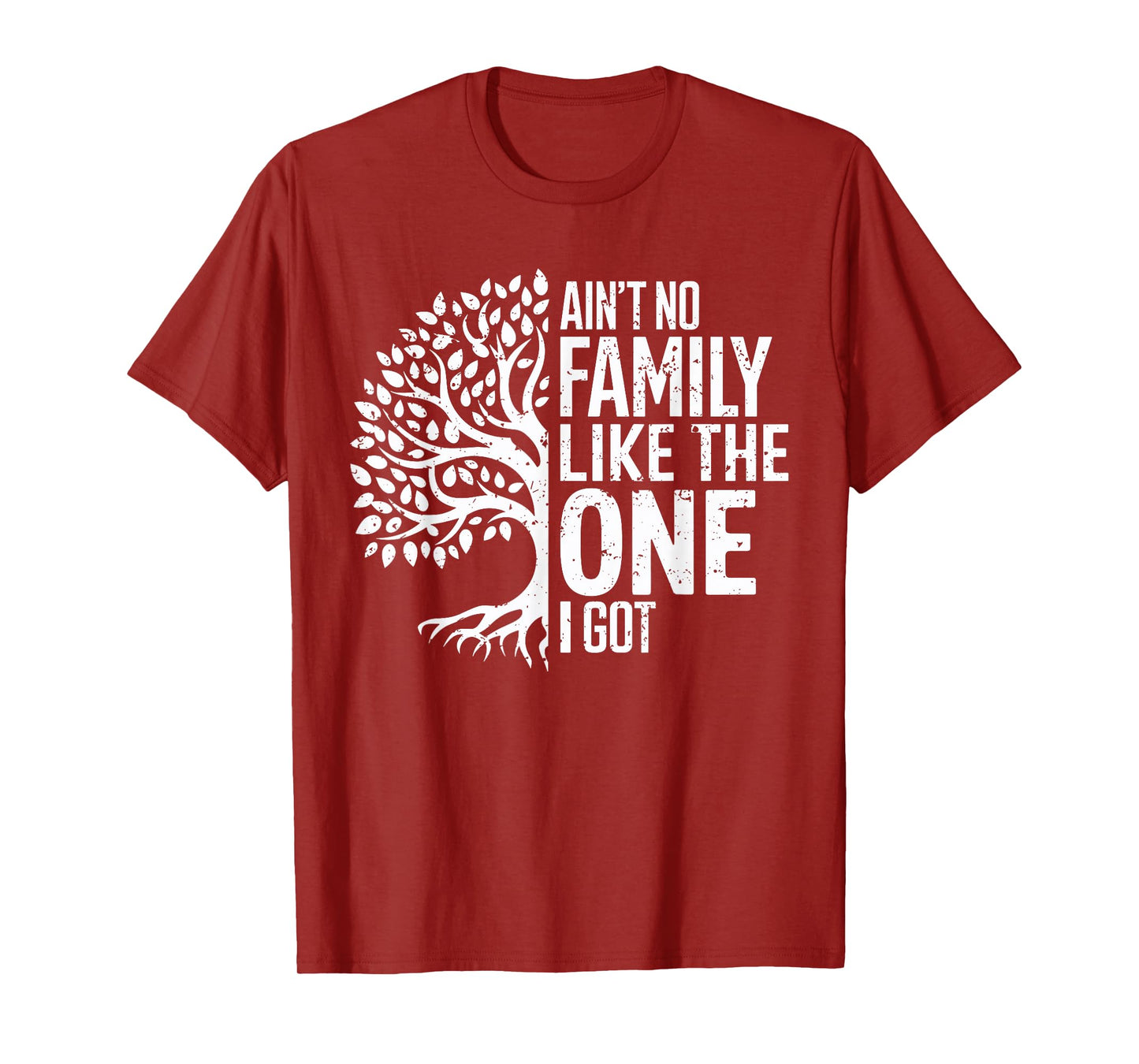 Ain't No Family Like The One I Got Funny Family Reunion 2025 T-Shirt