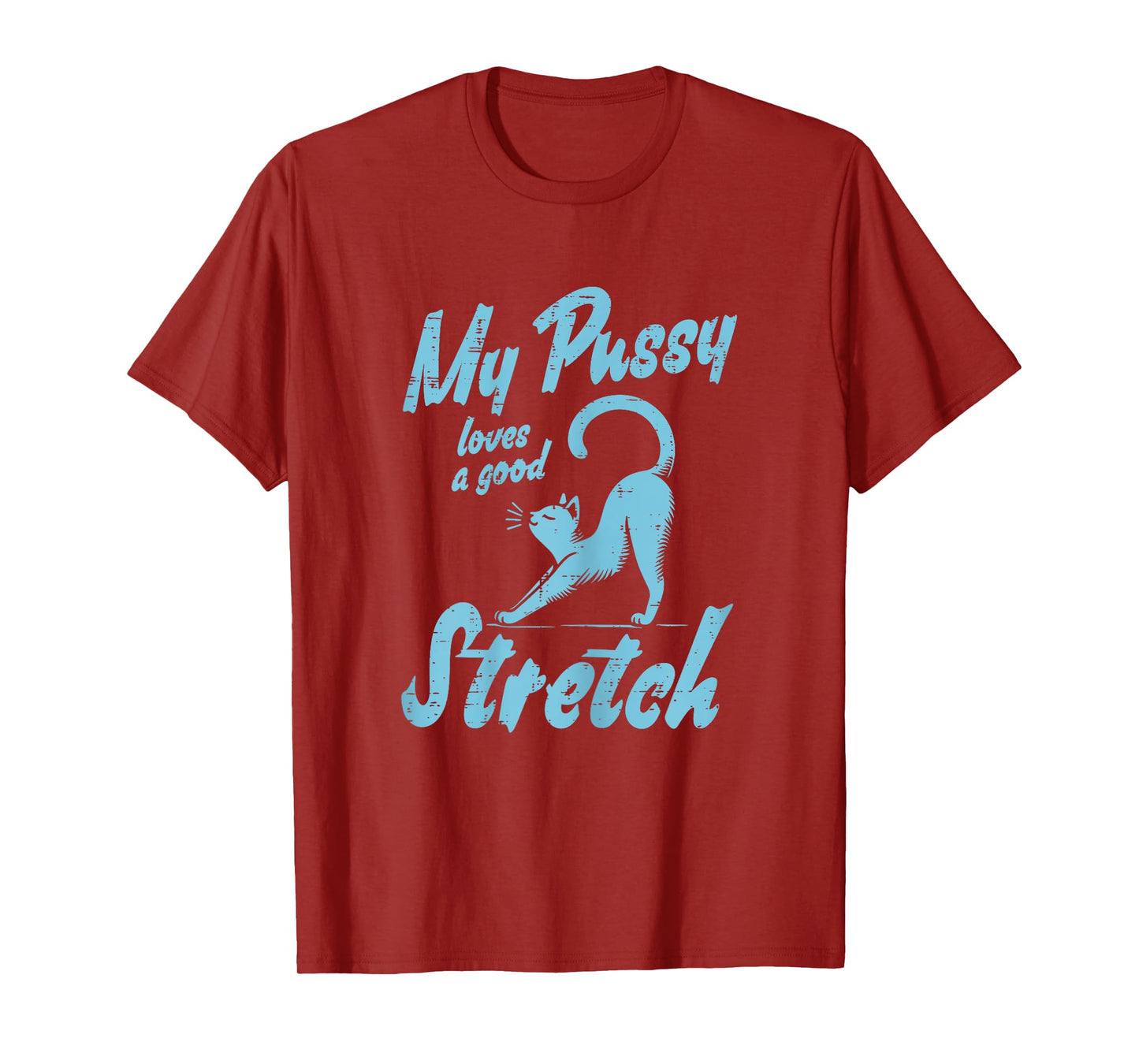 Inappropriate Cat Loves Good Stretch Funny Adult Humor Women T-Shirt