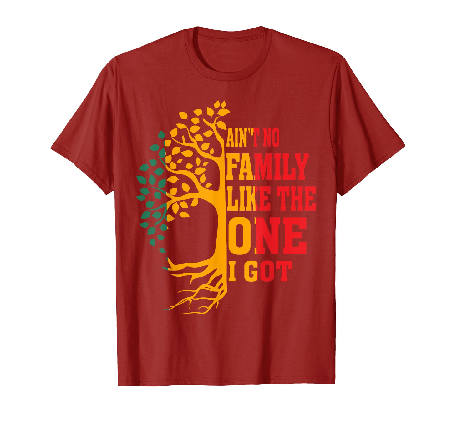 Ain't No Family Like The One I Got Funny Family Reunion 2024 T-Shirt