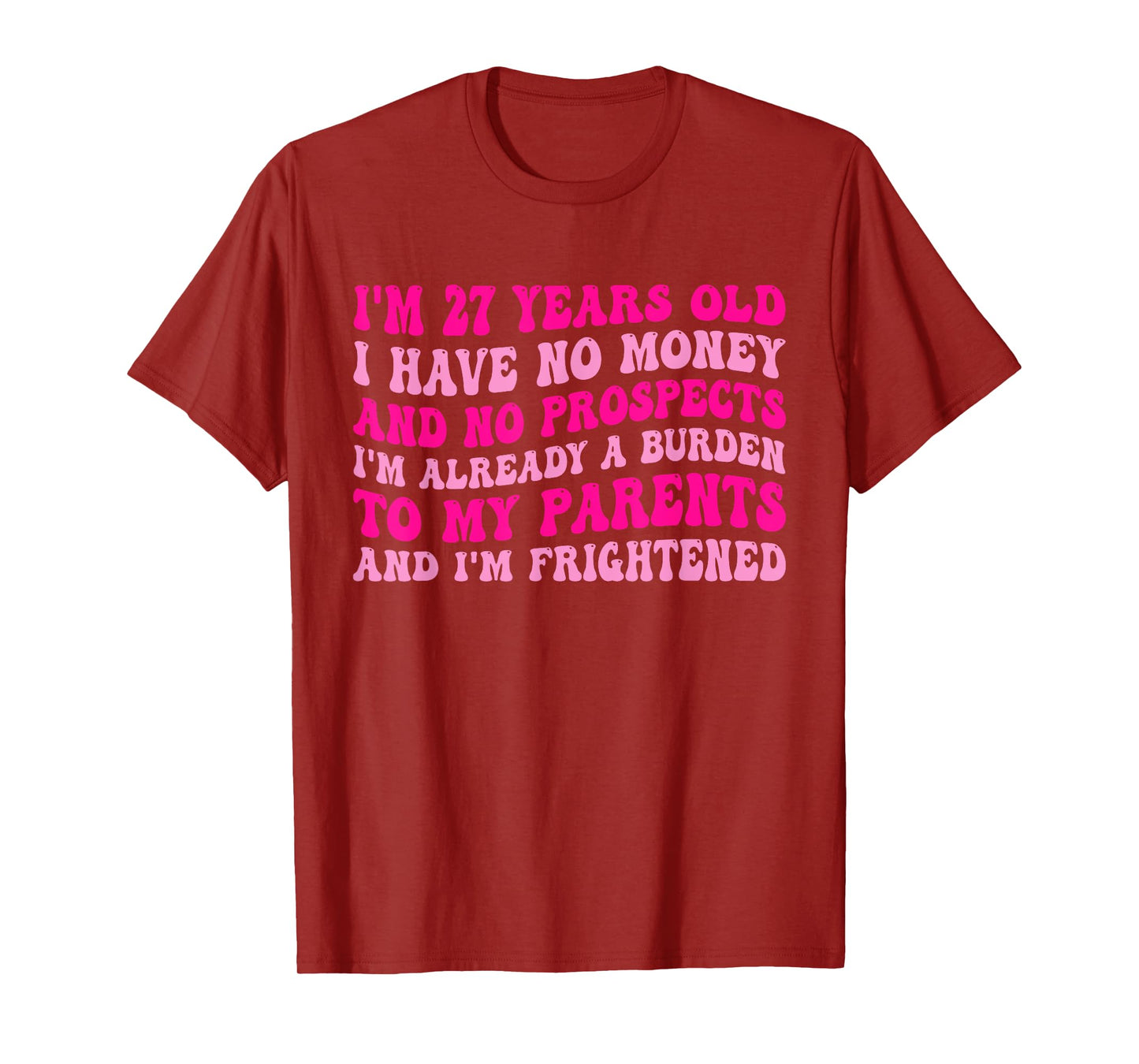 I'm 27 Years Old I Have No Money And No Prospects T-Shirt