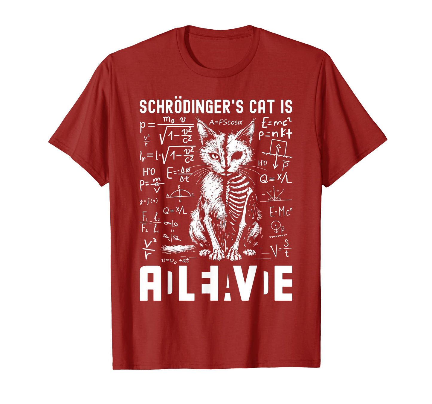 Schrodinger's Cat Dead And Alive Physics Teacher T-Shirt for Men Women Kids