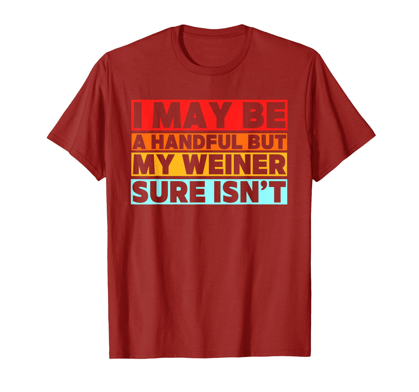I May Be a Handful But My Weiner Sure Isn’t Funny Dachshund T-Shirt