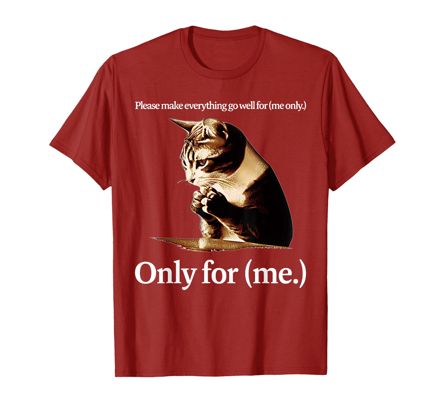 Cat Jesus Please Make Everything Go Well For Only For (Me) T-Shirt