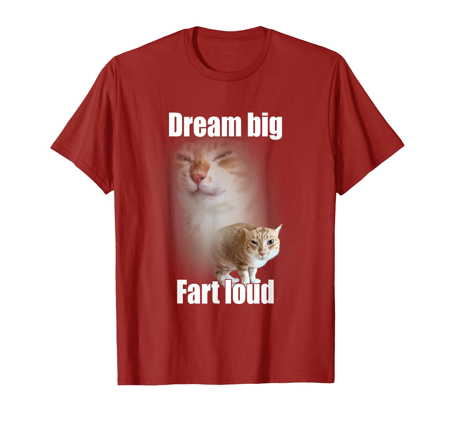 Dream Big Fart Loud Cat Meme Funny Saying Men Women T-Shirt