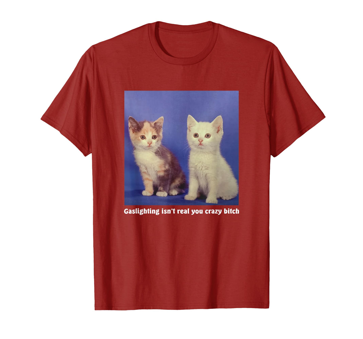 Gaslighting Isn't Real You Crazy B.I.T.C.H Funny Cat Lover T-Shirt for Men Women