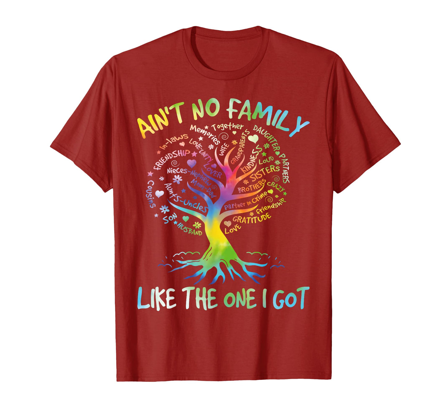 Ain't No Family Like The One I Got Matching Family Reunion T-Shirt