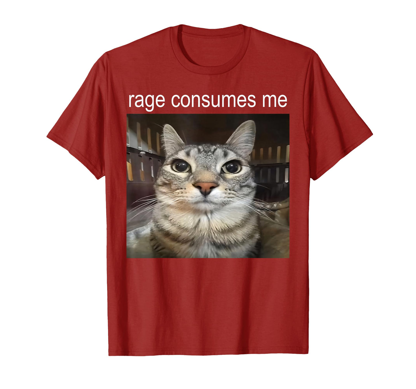 Funny Cat Meme Quote Retro Cat Lover Rage Consumes Me T-Shirt