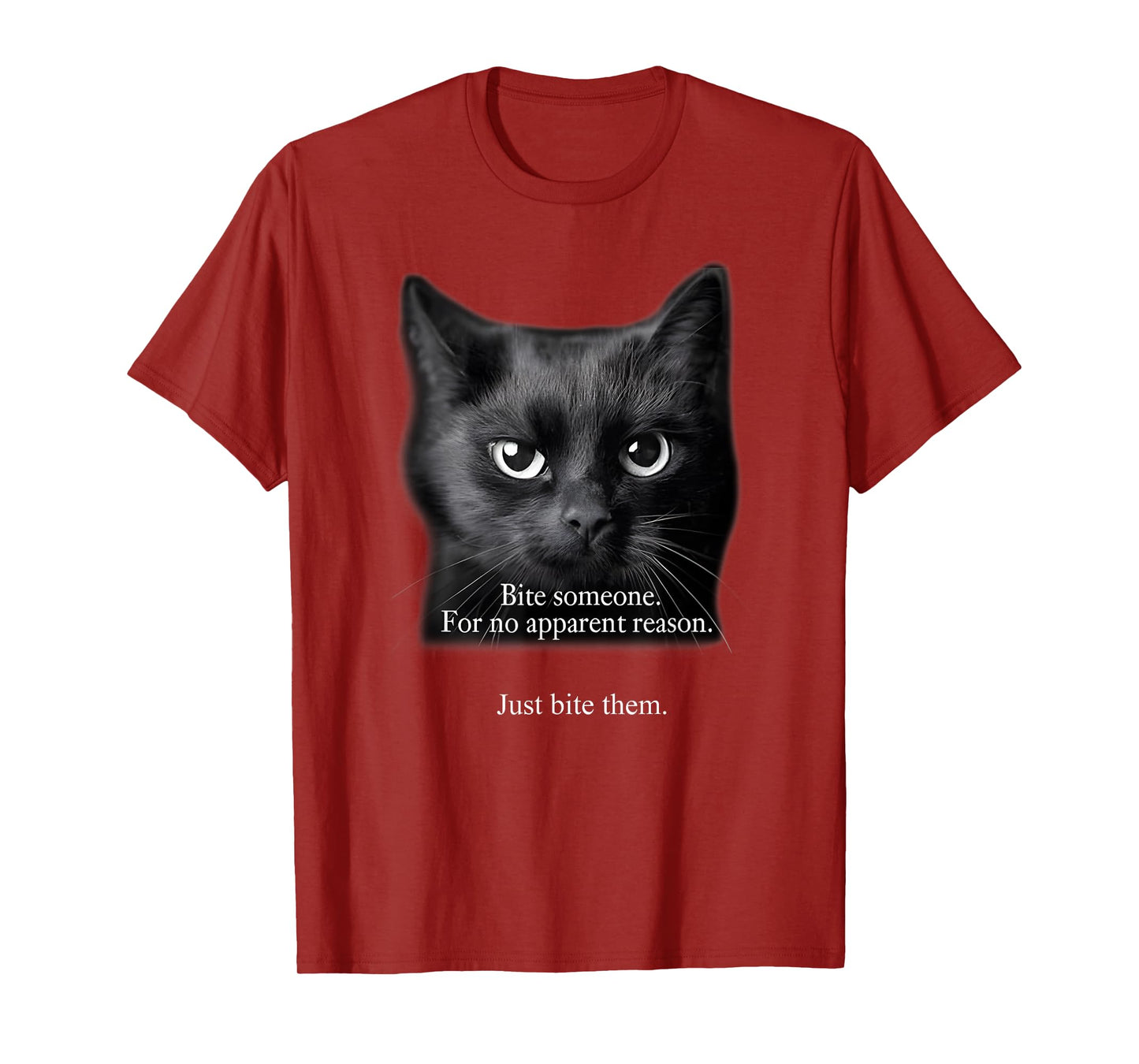 Bite Someone For No Apparent Reason Funny Black Cat Saying T-Shirt