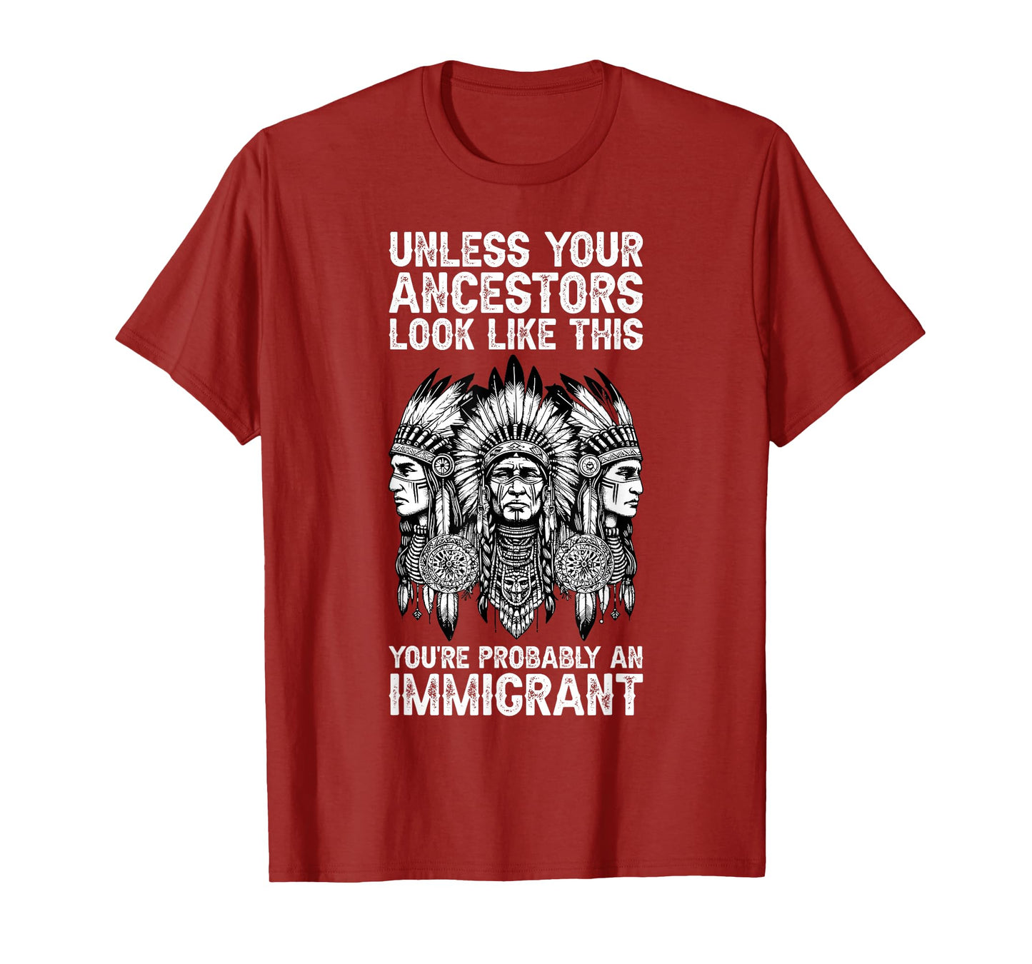 Indian Native American Clothing You're Probably An Immigrant T-Shirt