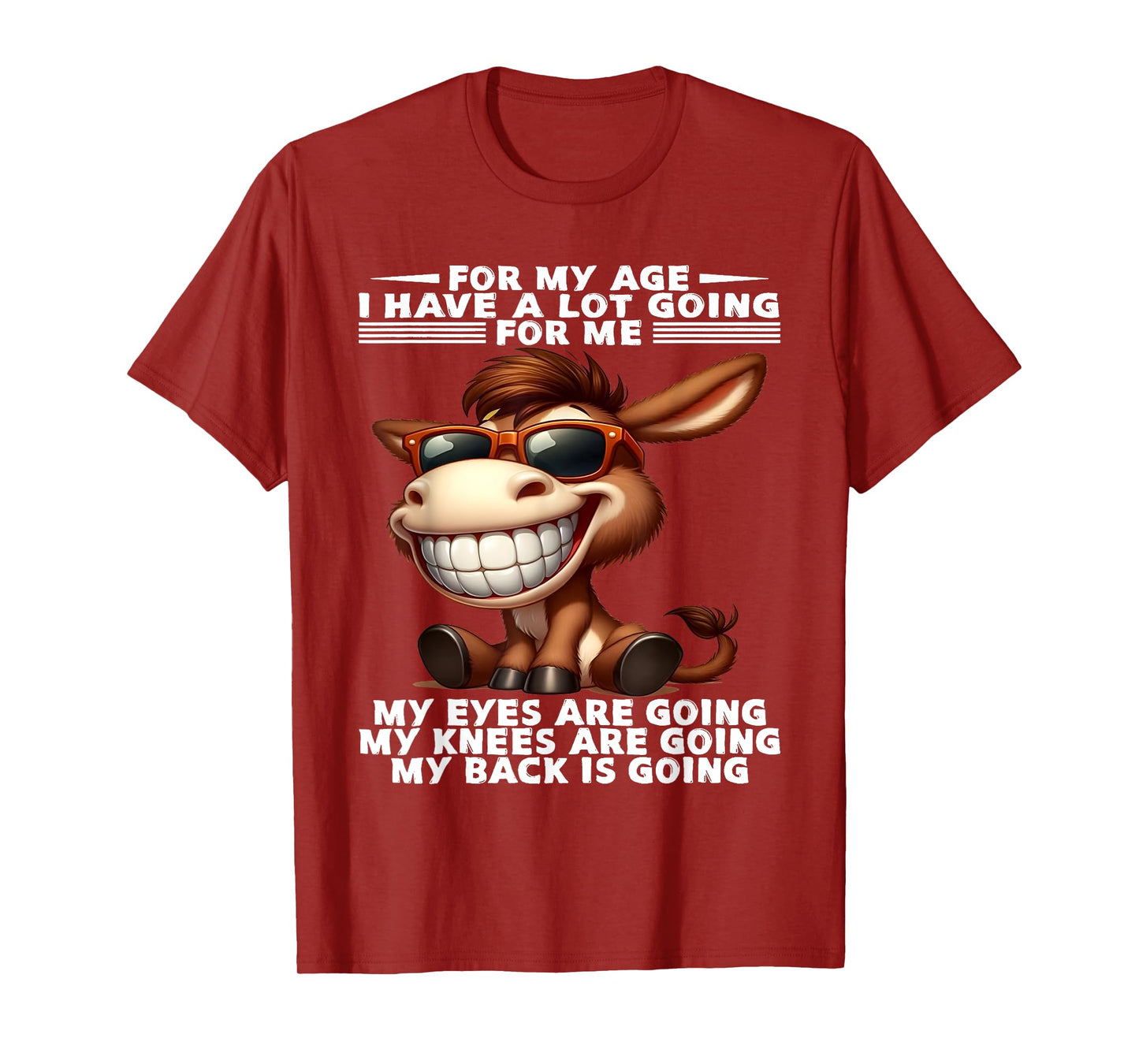 For My Age I Have A Lot Going For Me Funny Donkey Saying T-Shirt
