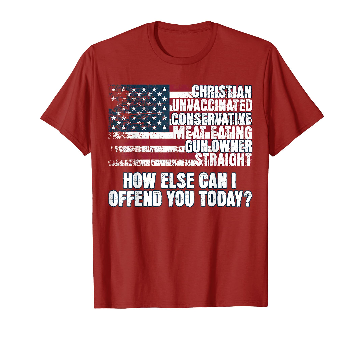 Christian Conservative... How Else Can I Offend You Today T-Shirt