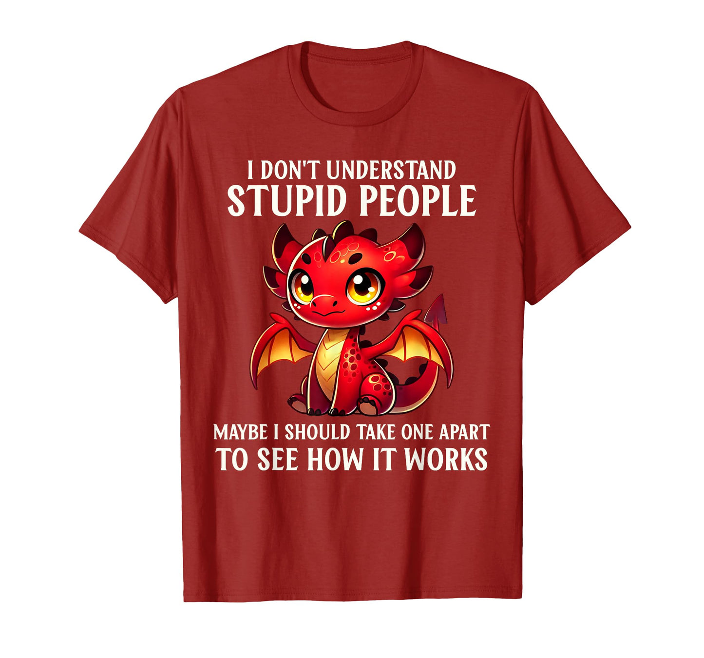 Funny Dragon Lover Humor I Don't Understand Stupid People T-Shirt
