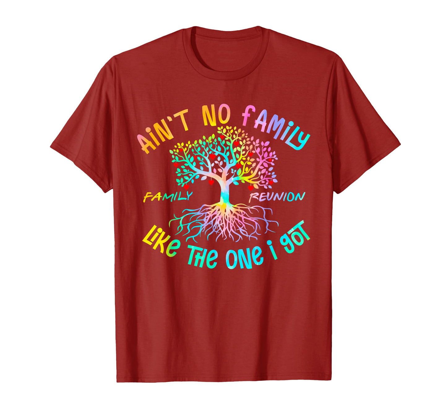 Ain't No Family Like The One I Got Matching Family Reunion T-Shirt